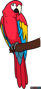 How to Draw a Scarlet Macaw Featured Image