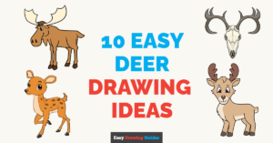 10 Easy Deer Drawing Tutorials for Kids Featured Image