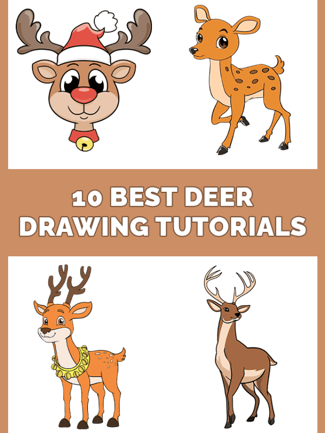 10 Best Deer Drawing Tutorials Pinterest Image