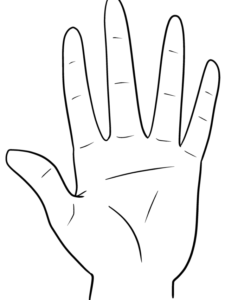 Anime Hands and Hand Gestures drawing tutorial - web story - complete