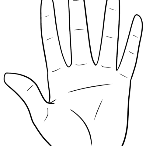 Anime Hands and Hand Gestures drawing tutorial - web story - complete