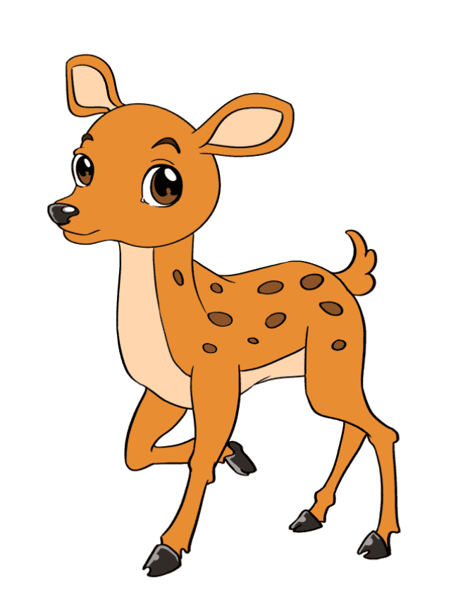 Baby Deer drawing tutorial - web story - complete