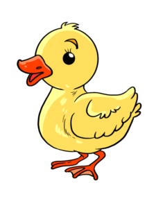 Baby Duck drawing tutorial - web story - complete