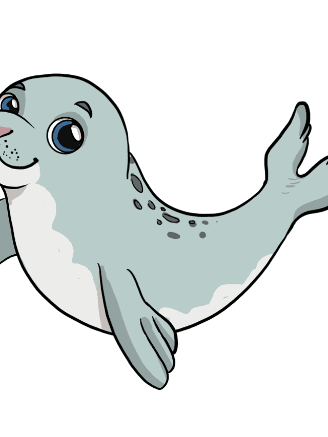 Baby Seal drawing tutorial - web story - complete