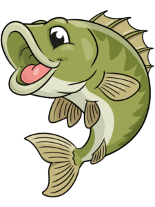 Bass drawing tutorial - web story - complete