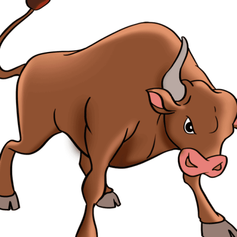 Bull drawing tutorial - web story - complete
