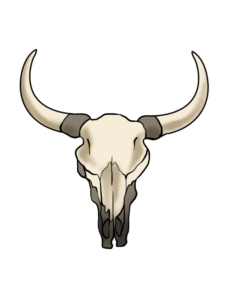 Bull Skull drawing tutorial - web story - complete