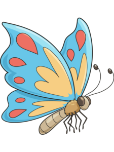 Cartoon Butterfly drawing tutorial - web story - complete