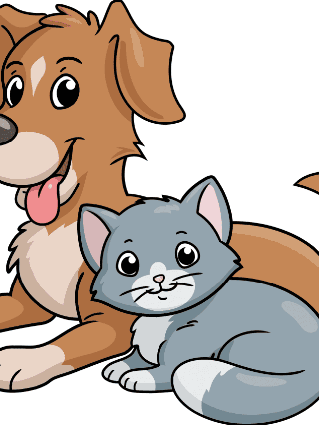Cat and Dog drawing tutorial - web story - complete