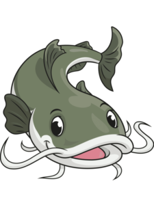 Catfish drawing tutorial - web story - complete