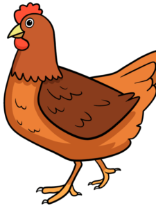 Chicken drawing tutorial - web story - complete