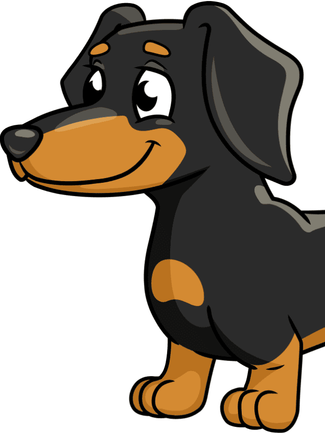 Dachshund drawing tutorial - web story - complete