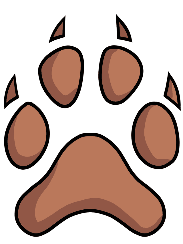 Dog Paw Print drawing tutorial - web story - complete