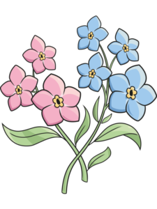 Forget Me Not Flowers drawing tutorial - web story - complete