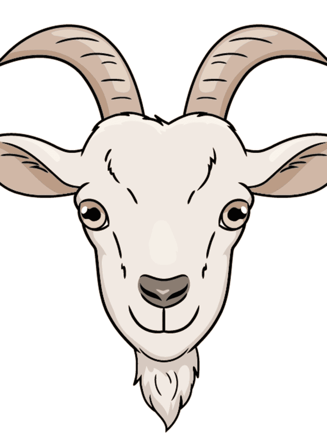 Goat Face drawing tutorial - web story - complete