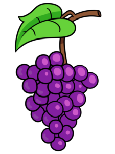 Grapes drawing tutorial - web story - complete