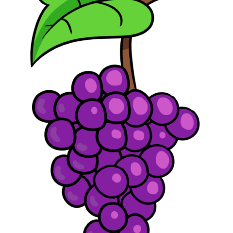 Grapes drawing tutorial - web story - complete