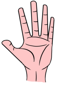 Hand drawing tutorial - web story - complete