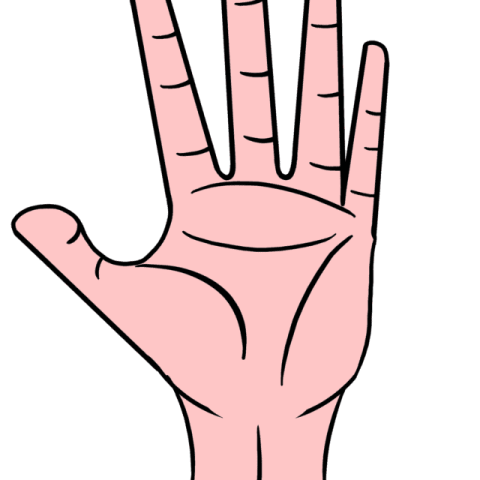 Hand drawing tutorial - web story - complete