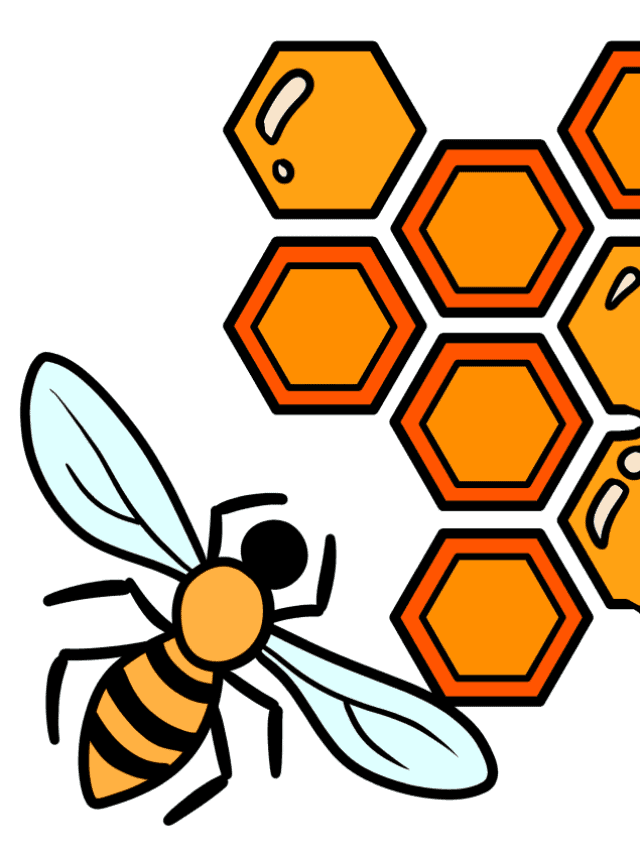 Honeycomb drawing tutorial - web story - complete