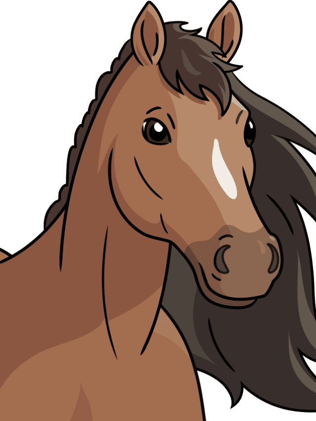 Horse Head drawing tutorial - web story - complete