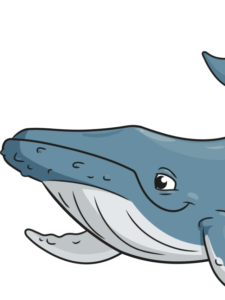 Humpback Whale drawing tutorial - web story - complete
