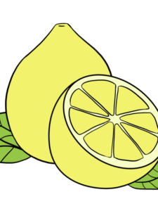 Lemon drawing tutorial - web story - complete