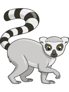 Lemur drawing tutorial - web story - complete