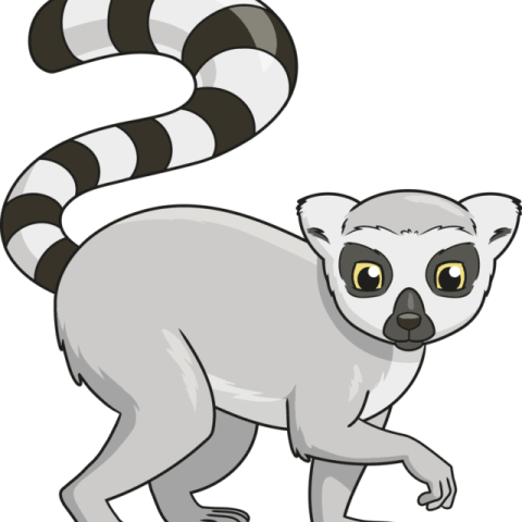 Lemur drawing tutorial - web story - complete