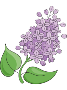 Lilac Flower drawing tutorial - web story - complete