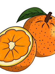 Orange drawing tutorial - web story - complete