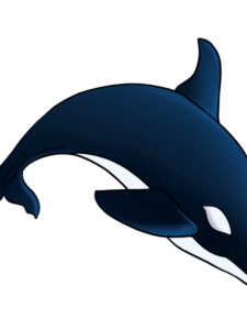 Orca drawing tutorial - web story - complete