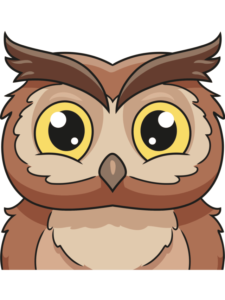 Owl Face drawing tutorial - web story - complete