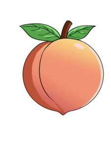 Peach drawing tutorial - web story - complete