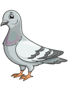 Pigeon drawing tutorial - web story - complete