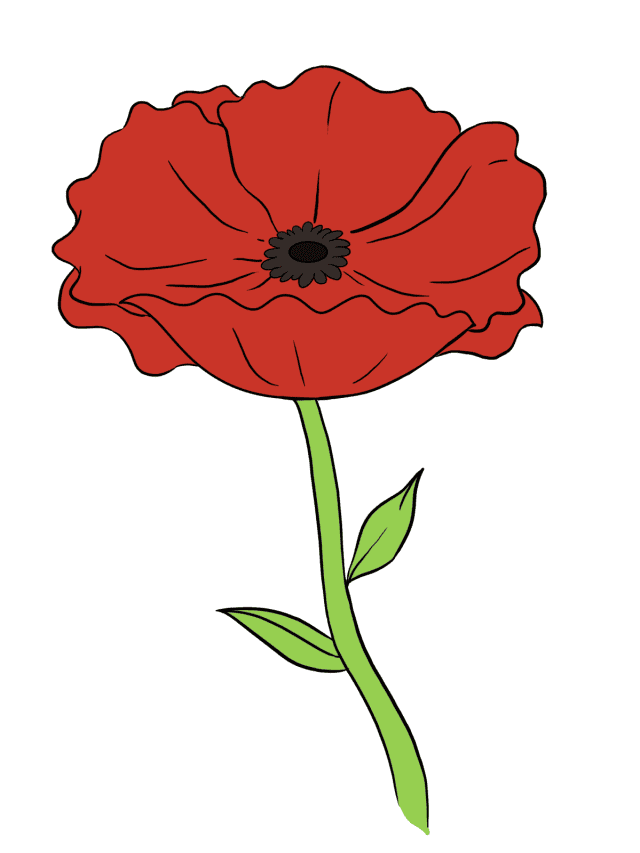 Poppy drawing tutorial - web story - complete