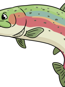 Rainbow Trout drawing tutorial - web story - complete