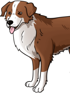Realistic Dog drawing tutorial - web story - complete