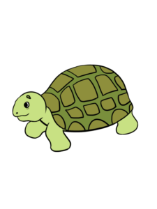 Sea Turtle drawing tutorial - web story - complete