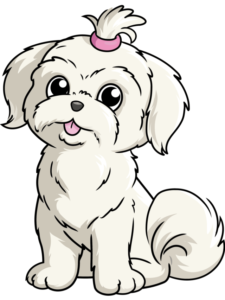 Shih Tzu drawing tutorial - web story - complete
