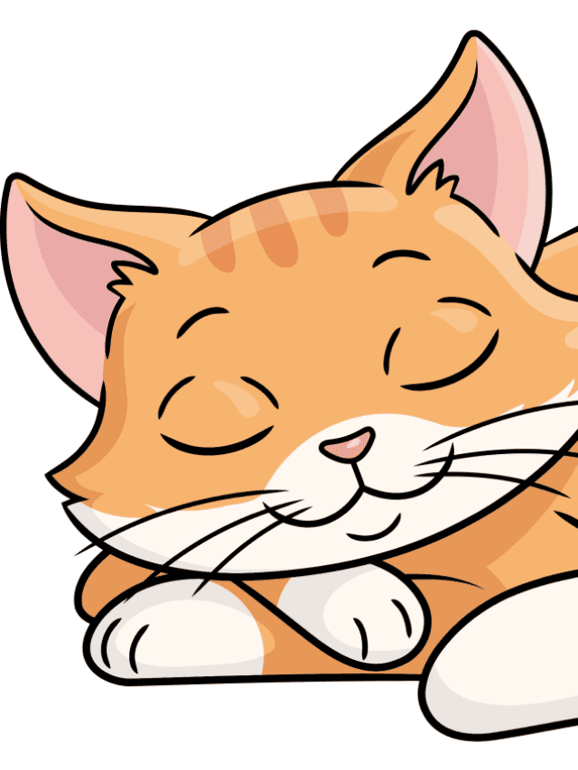 Sleeping Cat drawing tutorial - web story - complete