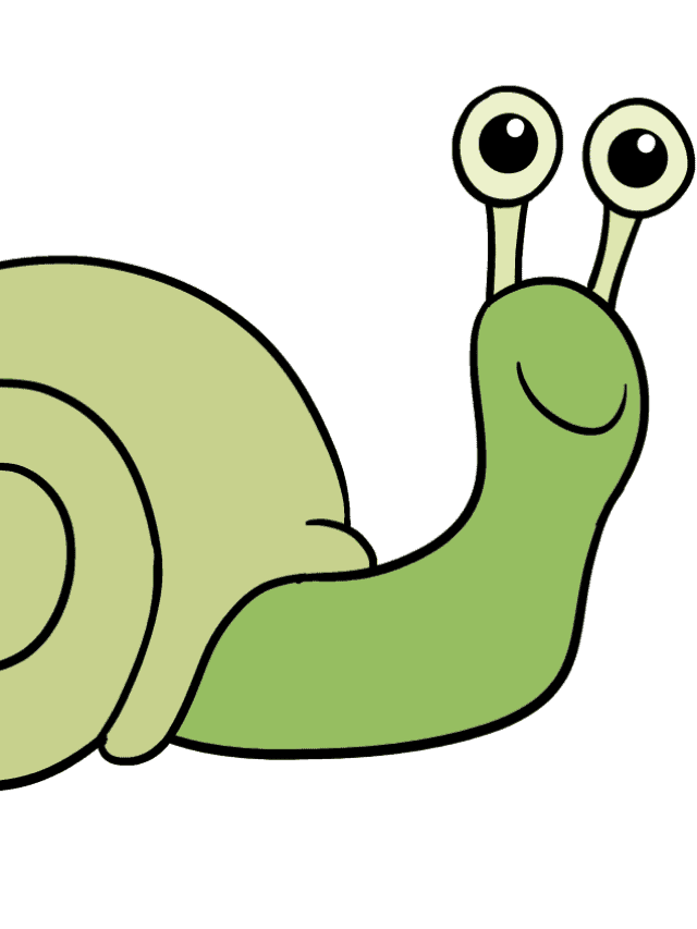 Snail drawing tutorial - web story - complete