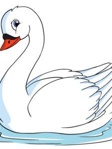 Swan drawing tutorial - web story - complete