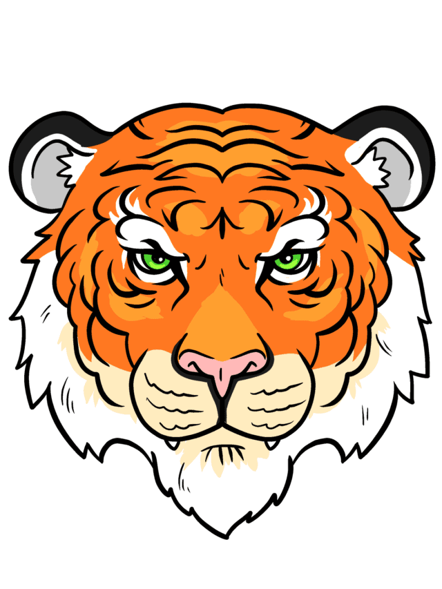 Tiger Face drawing tutorial - web story - complete