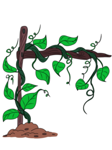 Vines drawing tutorial - web story - complete