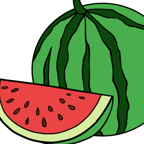 Watermelon Slice drawing tutorial - web story - complete