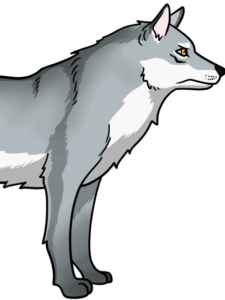 Wolf drawing tutorial - web story - complete