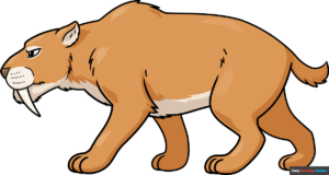 How to Draw a Saber Tooth Tiger (Smilodon) Featured Image