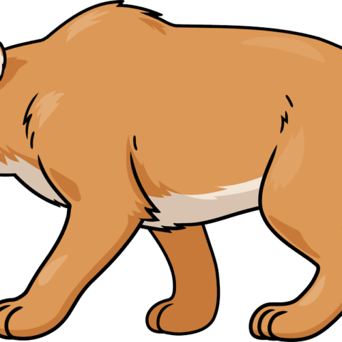 How to Draw a Saber Tooth Tiger (Smilodon) Featured Image