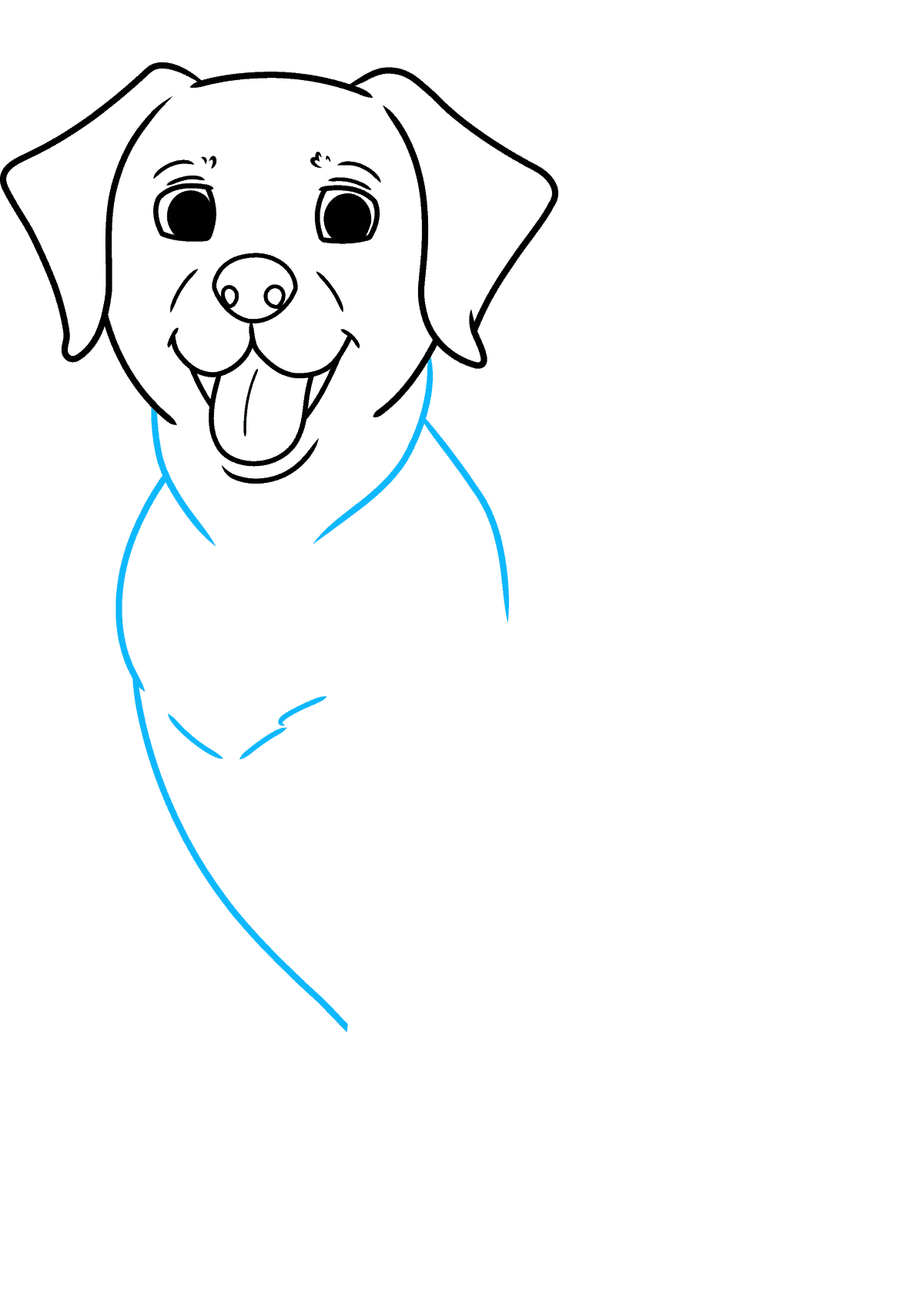 Easy Labrador Labrador Drawing Step By Step